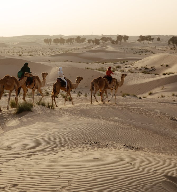 Σαουδική Αραβία: Γιατί οι καμήλες θα αποκτήσουν διαβατήρια
