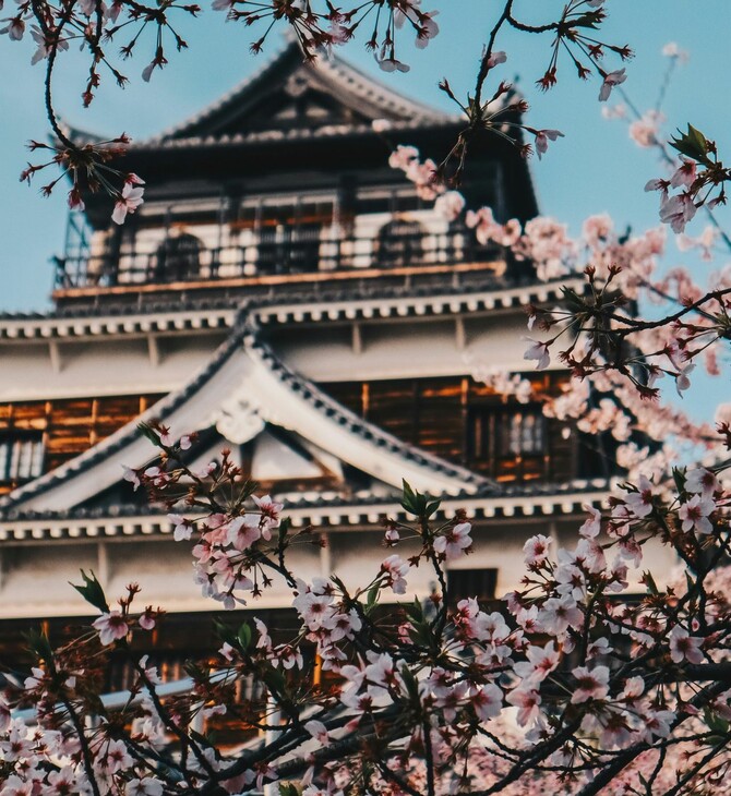 ΙΑΠΩΝΙΑ ΚΕΡΑΣΙΕΣ 