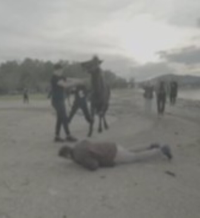 ΑΚΗΣ ΠΕΤΡΕΤΖΙΚΗΣ ΑΤΥΧΗΜΑ