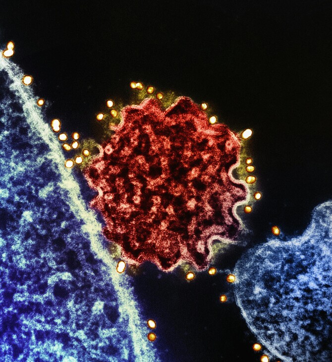 NIPAH ΙΟΣ ΜΠΑΝΓΚΛΑΝΤΕΣ