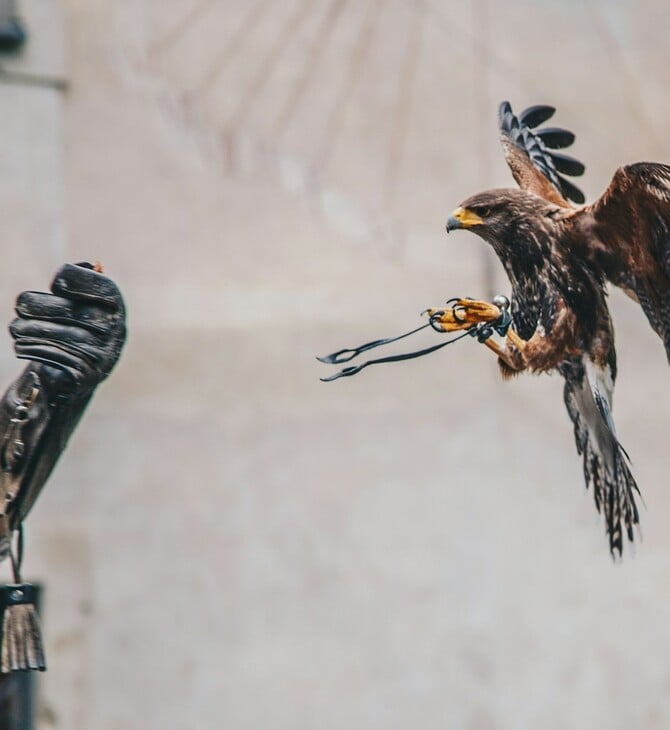 Οι γυναίκες του Μεσαίωνα χρησιμοποιούσαν την εκτροφή γερακιών για να ανατρέψουν τα έμφυλα στερεότυπα