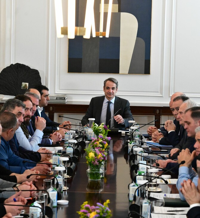 ΚΤΗΝΟΤΡΟΦΟΙ ΜΗΤΣΟΤΑΚΗΣ 