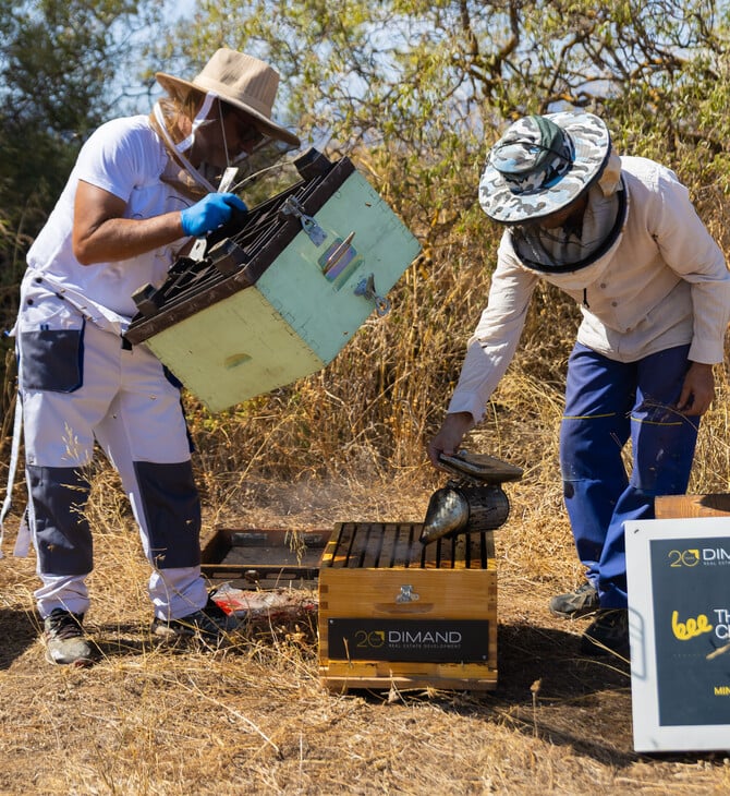 Η DIMAND φέρνει τις μέλισσες στην καρδιά της πόλης
