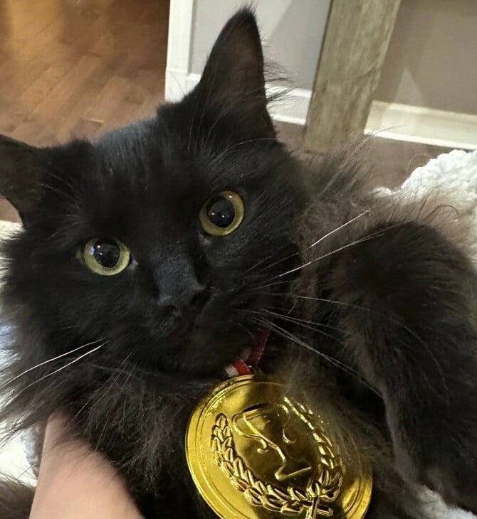 ΧΕΙΜΕΡΙΝΟΙ ΟΛΥΜΠΙΑΚΟΙ ΑΓΩΝΕΣ ΓΑΤΑ ΙΛΙΑ ΜΑΛΙΝΙΝ