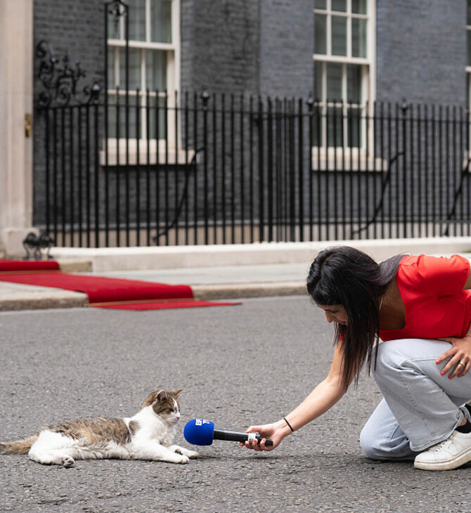 ΒΡΕΤΑΝΙΑ ΓΑΤΟΣ ΛΑΡΙ ΝΤΑΟΥΝΙΝΓΚ ΣΤΡΙΤ