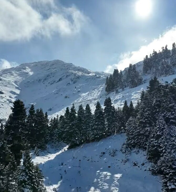 ΠΑΡΝΑΣΣΟΣ ΟΡΕΙΒΑΤΕΣ ΑΓΝΟΟΥΜΕΝΟΙ