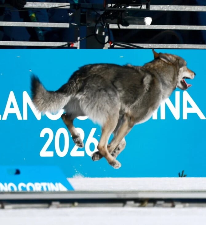 ΧΕΙΜΕΡΙΝΟΙ ΟΛΥΜΠΙΑΚΟΙ ΑΓΩΝΕΣ ΣΚΥΛΟΣ