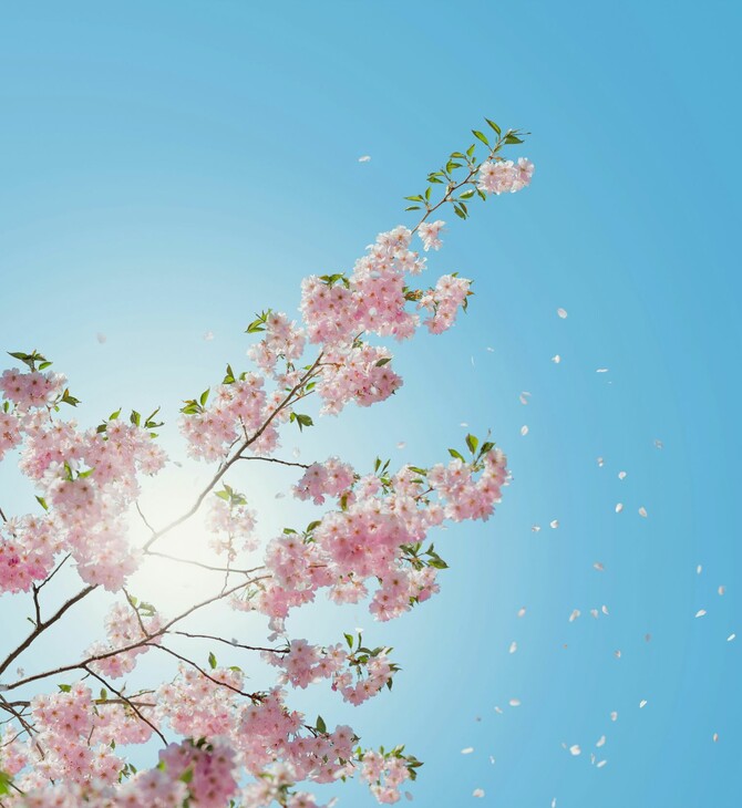 ΚΑΙΡΟΣ ΗΛΙΟΣ