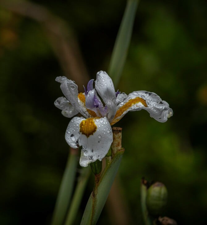 ΚΑΙΡΟΣ ΒΡΟΧΕΣ
