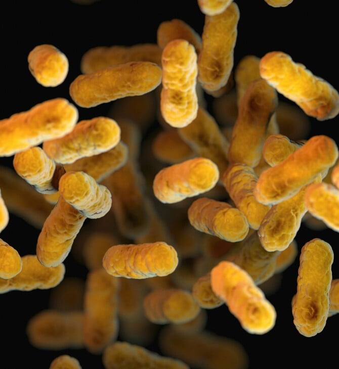 ΕΝΤΕΡΟ ΜΙΚΡΟΒΙΩΜΑ ΥΠΕΡΕΠΕΞΕΡΓΑΣΜΕΝΑ ΤΡΟΦΙΜΑ