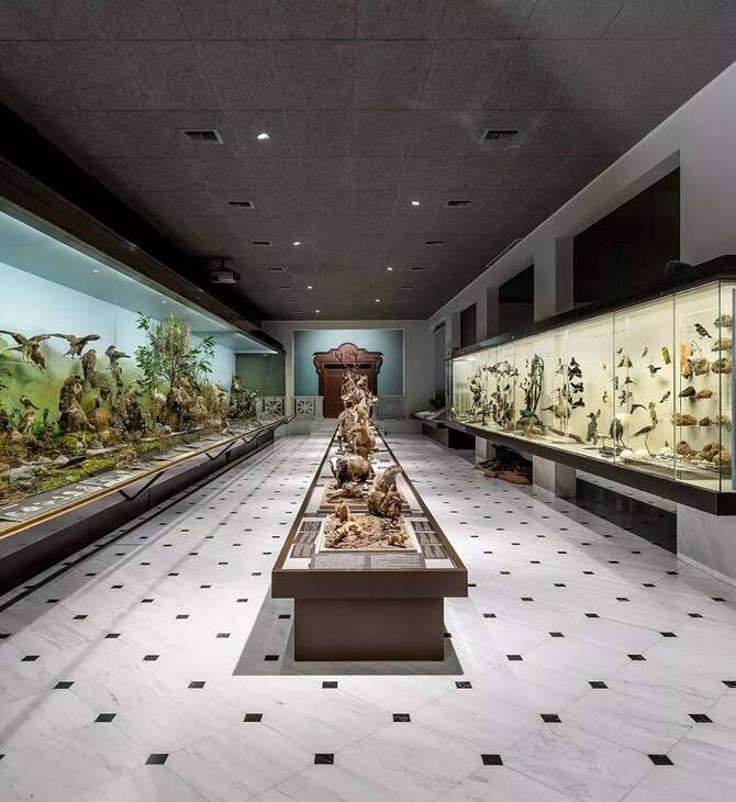 «Ο γύρος του κόσμου...σε 10 Κυριακές» στο Εθνικό Μουσείο Φυσικής Ιστορίας Γουλανδρή