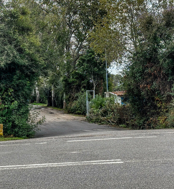 ΦΟΙΝΙΚΟΥΝΤΑ ΔΟΛΟΦΟΝΙΑ ΚΑΜΠΙΝΓΚ