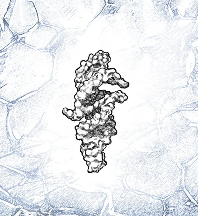 RNA DNA ΑΝΘΡΩΠΙΝΗ ΖΩΗ CAMBRIDGE