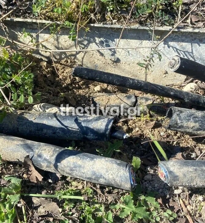 ΔΟΛΙΟΦΘΟΡΑ ΑΘΗΝΑ ΘΕΣΣΑΛΟΝΙΚΗ ΕΙΣΑΓΓΕΛΙΚΗ ΕΡΕΥΝΑ