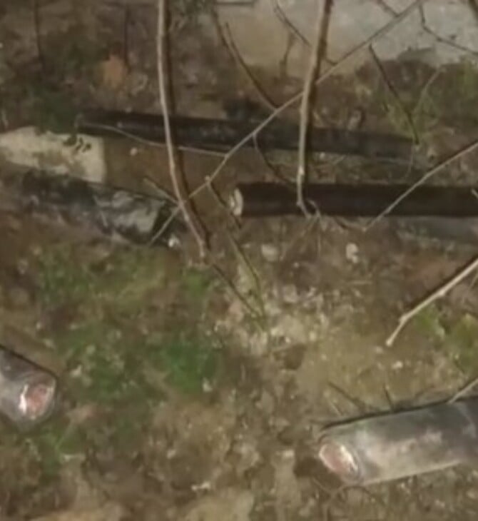 ΔΟΛΙΟΦΘΟΡΑ ΚΑΤΑΓΓΕΛΙΑ ΓΡΑΜΜΗ ΑΘΗΝΑ ΘΕΣΣΑΛΟΝΙΚΗ ΝΕΑ ΤΕΜΠΗ