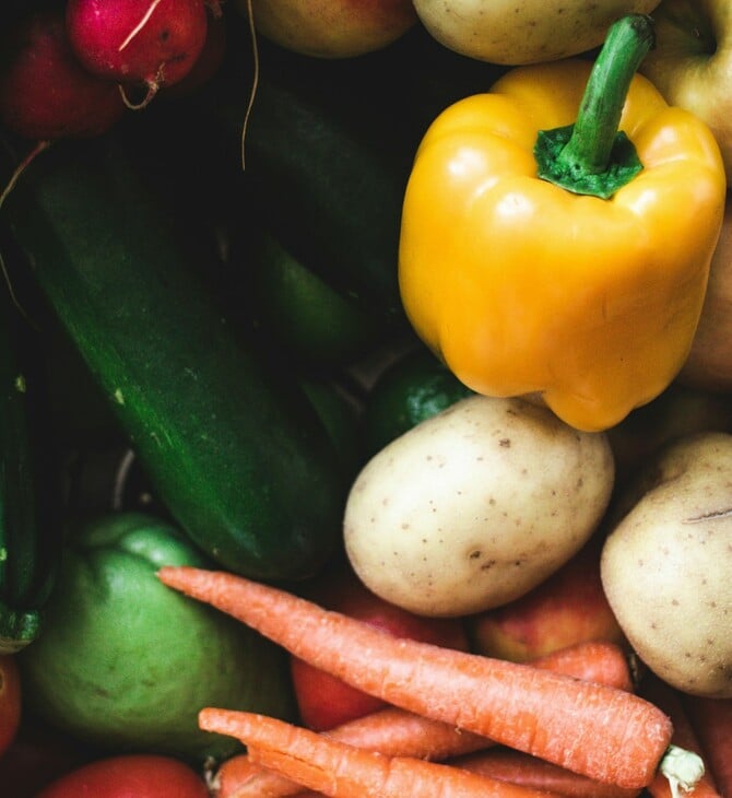 ΚΑΡΚΙΝΟΣ ΧΟΡΤΟΦΑΓΟΙ ΕΡΕΥΝΑ