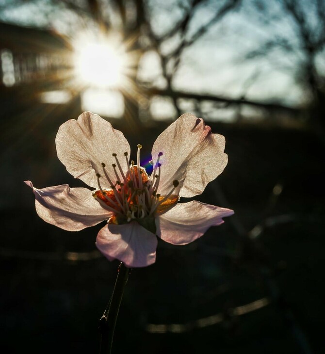 Καιρός - Κολυδάς: «Ο Μάρτιος δεν φαίνεται να επιβεβαιώνει τον χαρακτηρισμό του "γδάρτη"»