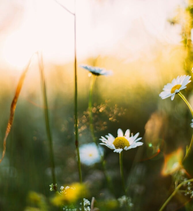ΚΑΙΡΟΣ ΜΑΡΤΙΟΣ