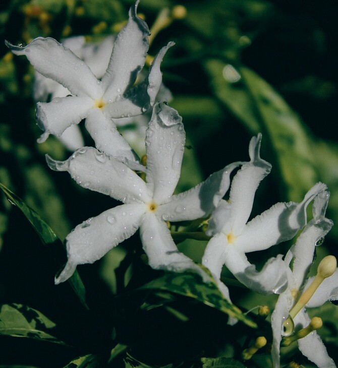 Αλλάζει ο καιρός: Πού θα βρέξει τις επόμενες ώρες