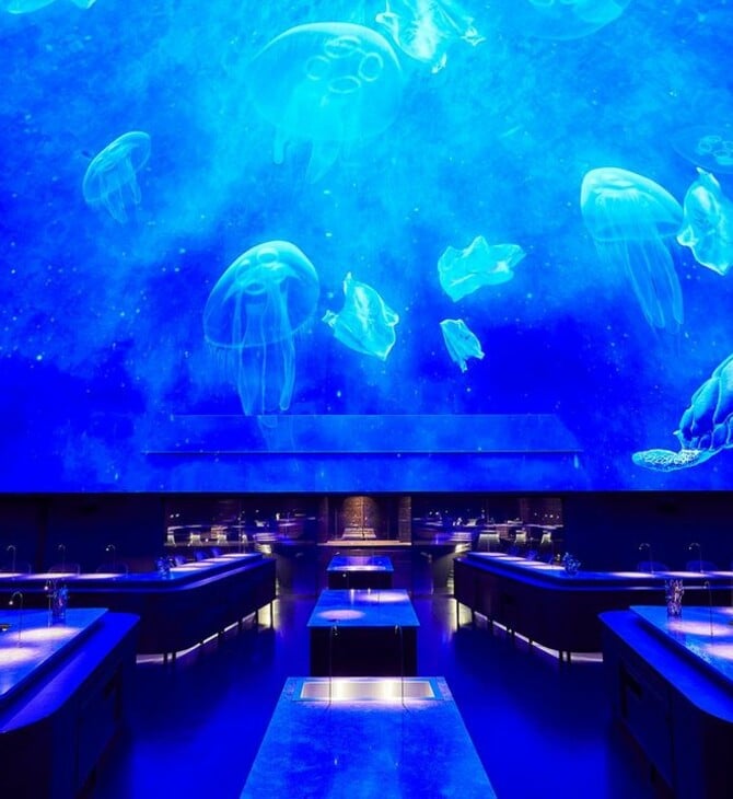 Από τη Noma στο Κοινοβούλιο: όταν η κουζίνα διεκδικεί θέση δίπλα στη ζωγραφική