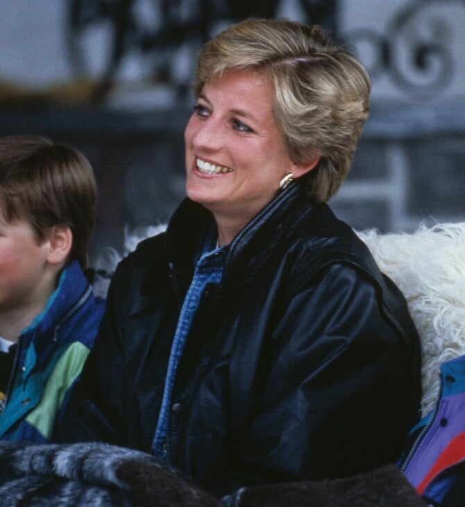 Πριγκίπισσα Νταϊάνα, Χάρι, Ουίλιαμ