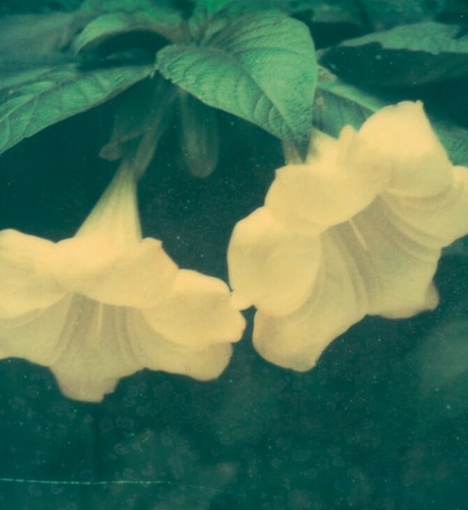 Ελισάβετ Μωράκη It’s Always the Sun 