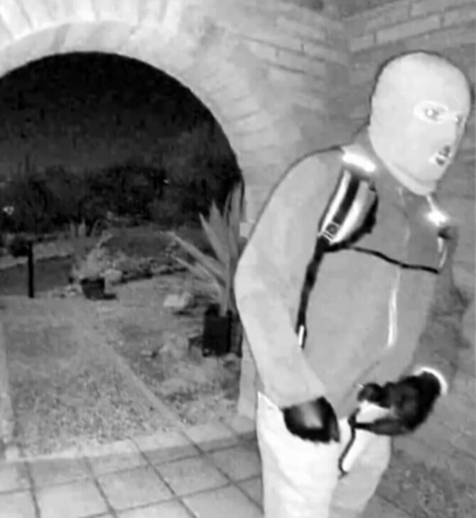 ΑΠΑΓΩΓΗ, ΜΗΤΕΡΑ, ΠΑΡΟΥΣΙΑΣΤΡΙΑ