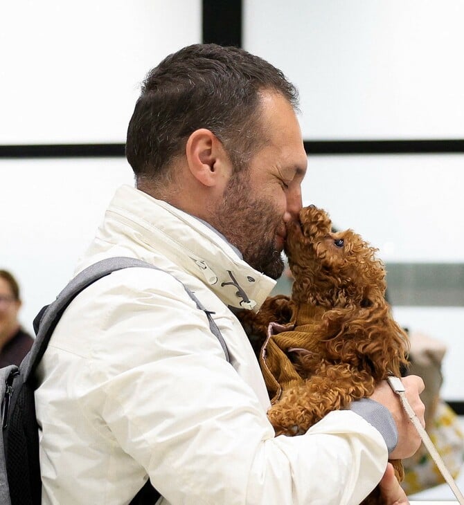 Τα κατοικίδια που μένουν πίσω όταν οι άνθρωποι φεύγουν από τη Μέση Ανατολή