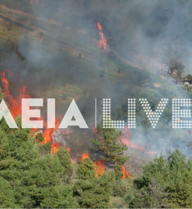 ΦΩΤΙΑ ΗΛΕΙΑ ΕΛΑΙΩΝΑΣ