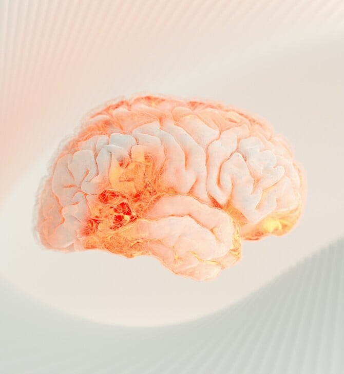 ΚΙΝΑ ΕΓΚΕΦΑΛΟΣ ΕΜΦΥΤΕΥΜΑ