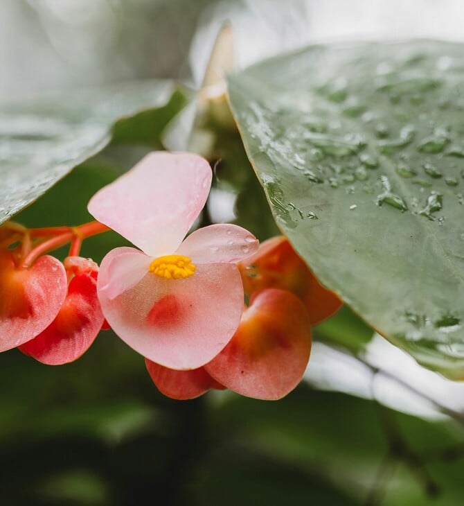 ΚΑΙΡΟΣ ΒΡΟΧΕΣ ΑΘΗΝΑ 