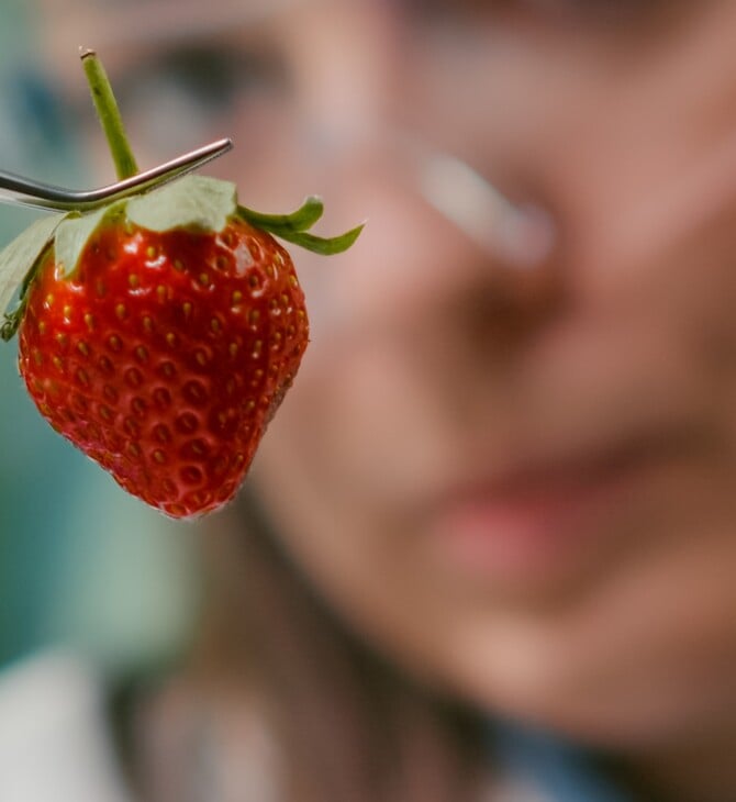 ΜΕΤΑΛΛΑΓΜΕΝΑ ΤΡΟΦΙΜΑ GREENPEACE ΑΝΟΙΧΤΗ ΕΠΙΣΤΟΛΗ