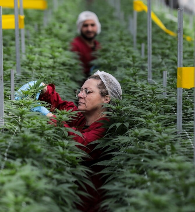 ΦΑΡΜΑΚΕΥΤΙΚΗ ΚΑΝΝΑΒΗ ΕΡΕΥΝΑ ΨΥΧΙΚΕΣ ΔΙΑΤΑΡΑΧΕΣ