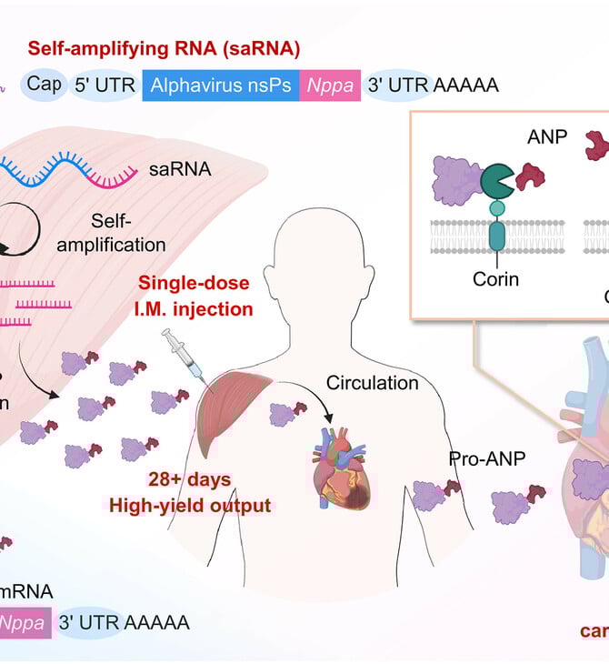 ΚΑΡΔΙΑ RNA ΘΕΡΑΠΕΙΑ ΕΜΦΡΑΓΜΑ