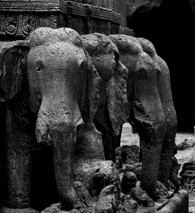 ΝΕΑΝΤΕΡΝΤΑΛ ΕΛΕΦΑΝΤΕΣ ΚΥΝΗΓΙ ΕΡΕΥΝΑ