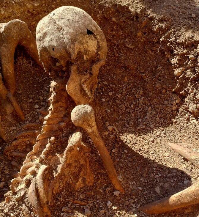 ΣΚΕΛΕΤΟΣ ΓΑΛΛΙΑ ΚΑΘΙΣΤΟΣ ΑΡΧΑΙΟΛΟΓΙΑ ΑΡΧΑΙΟΛΟΓΟΙ