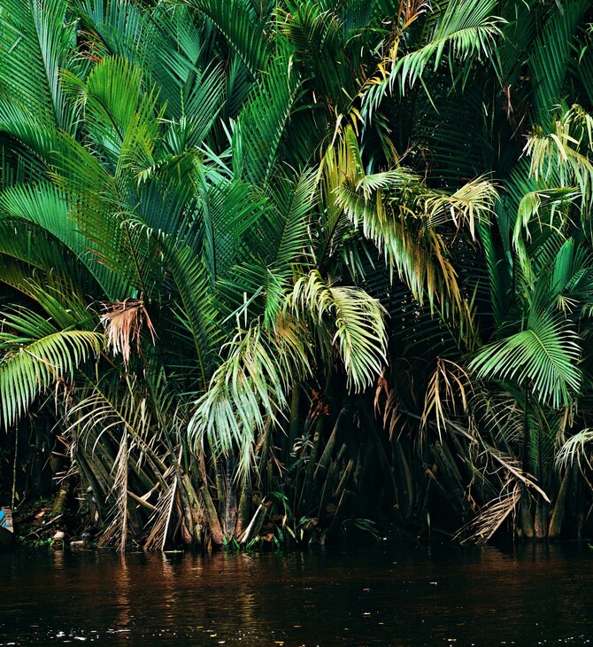 ΦΩΤΙΕΣ ΑΝΘΡΑΚΑΣ ΥΓΡΟΤΟΠΟΙ