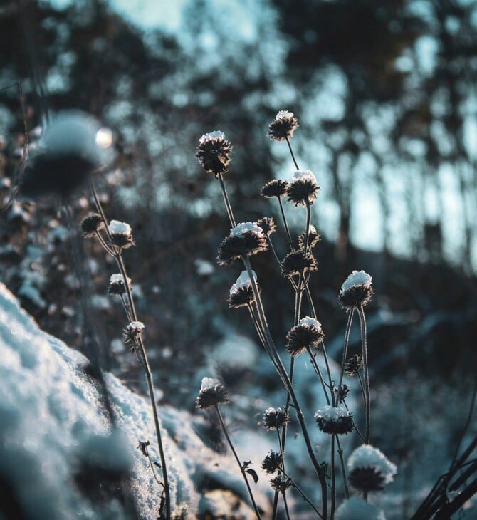 ΚΑΙΡΟΣ ΚΡΥΟ ΠΤΩΣΗ ΘΕΡΜΟΚΡΑΣΙΑΣ 25Η ΜΑΡΤΙΟΥ