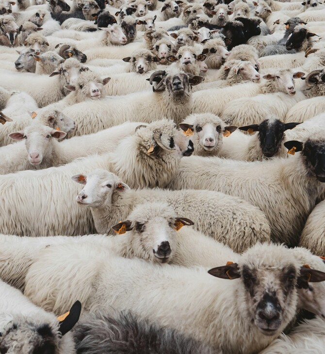 ΛΕΣΒΟΣ ΕΚΤΑΚΤΗ ΑΝΑΓΚΗ ΑΦΘΩΔΗΣ ΠΥΡΕΤΟΣ