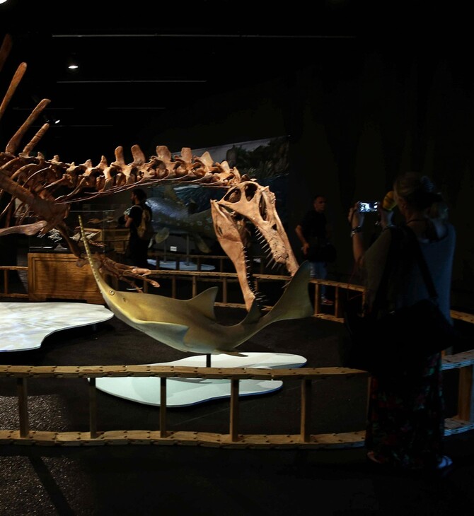 ΣΠΕΙΝΟΣΑΥΡΟΣ ΑΝΑΚΑΛΥΨΗ