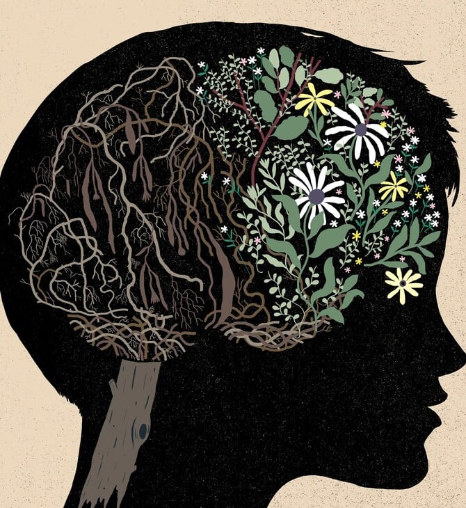 Νέα έρευνα: Η δίαιτα που επιβραδύνει τη γήρανση του εγκεφάλου