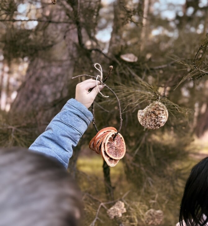 Πώς τα Οικολογικά Σχολεία φέρνουν τη Σύμπραξη της UNESCO για την Πράσινη Εκπαίδευση στην Ελλάδα