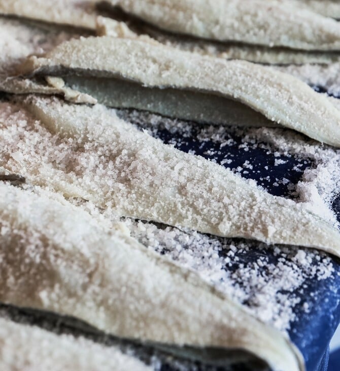 ΜΠΑΚΑΛΙΑΡΟΣ 25Η ΜΑΡΤΙΟΥ