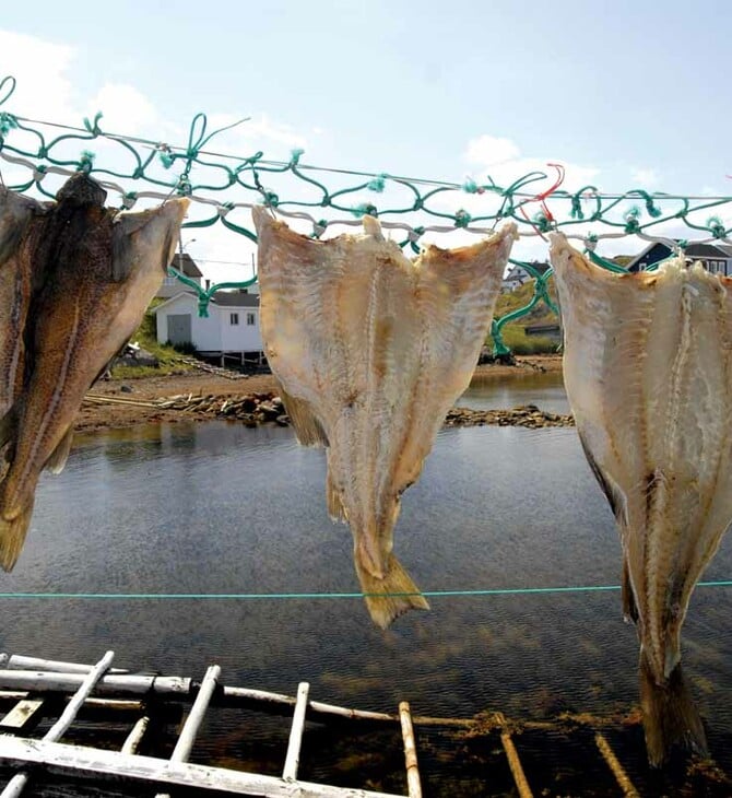 Ακολουθώντας τα (γαστρονομικά) ίχνη του μπακαλιάρου στη βόρεια Ισπανία