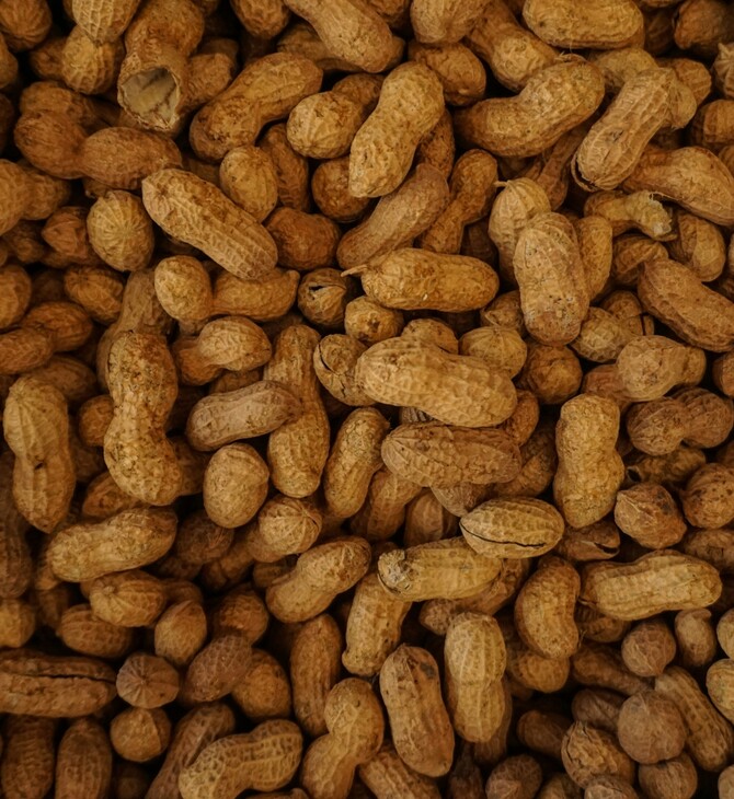 ΕΦΕΤ ΦΙΣΤΙΚΙ ΑΝΑΚΛΗΣΗ