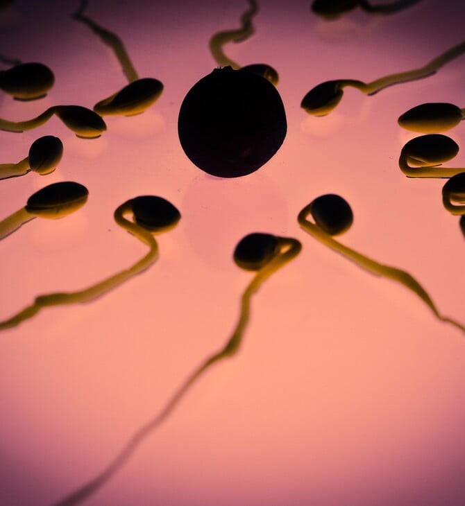 ΣΠΕΡΜΑΤΟΖΩΑΡΙΑ ΔΙΑΣΤΗΜΑ ΜΙΚΡΟΒΑΡΥΤΗΤΑ