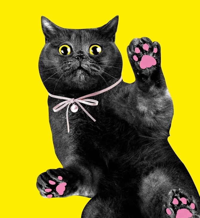 «CATS!»: Η γάτα ως λατρευτικό αντικείμενο και σύμβολο της ποπ κουλτούρας