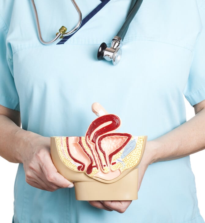 ΚΛΕΙΤΟΡΙΔΑ ΑΝΑΤΟΜΙΑ ΕΠΙΣΤΗΜΟΝΙΚΗ ΕΡΕΥΝΑ