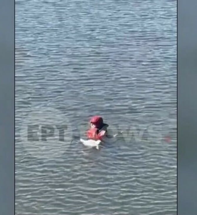 ΓΛΑΡΟΣ ΘΕΡΜΗ ΔΙΑΣΩΣΗ