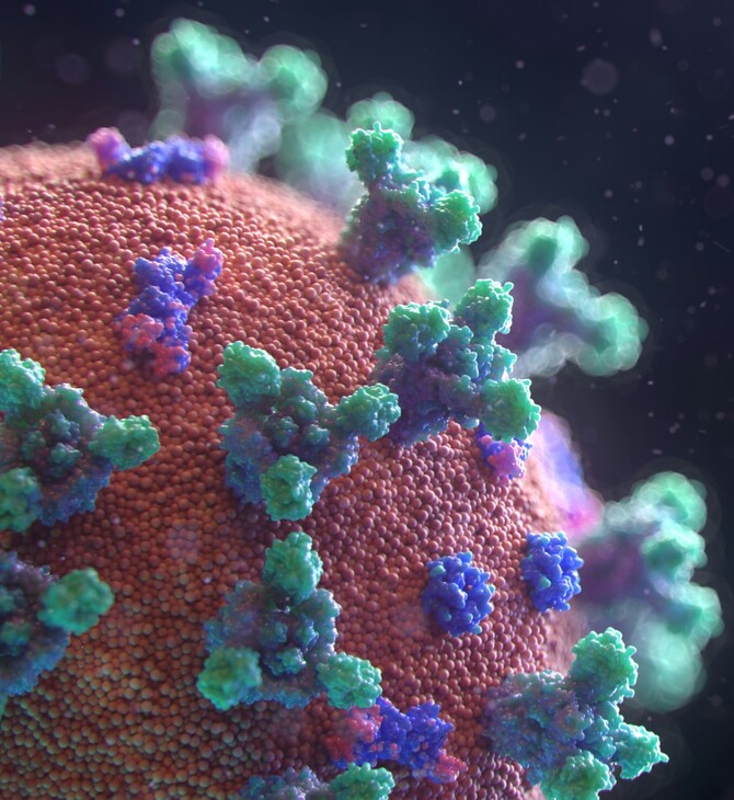 ΚΟΡΩΝΟΙΟΣ CICADA ΣΥΜΠΤΩΜΑΤΑ ΕΙΔΙΚΟΙ